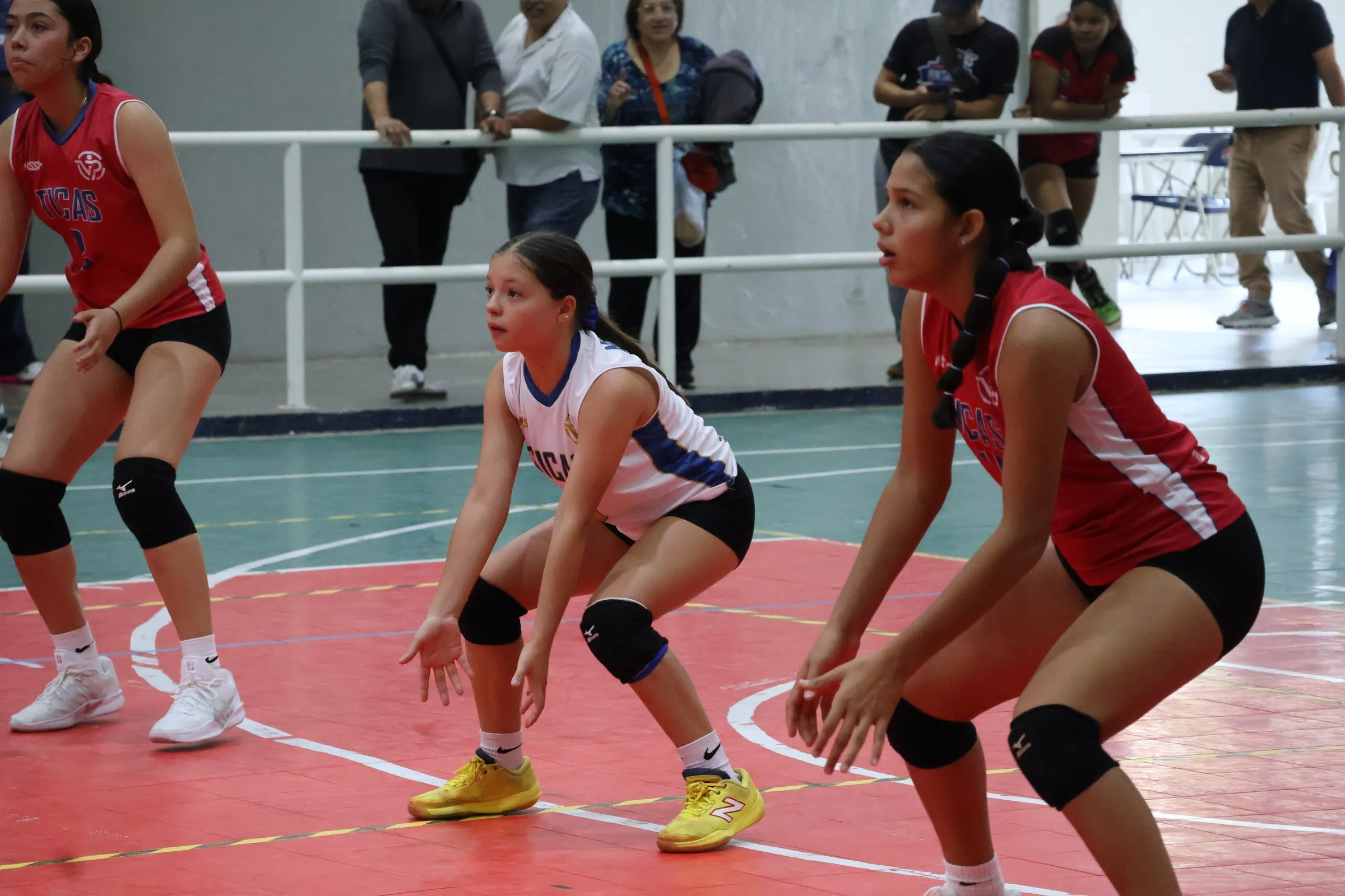 Dos jugadoras en posición de recepción.